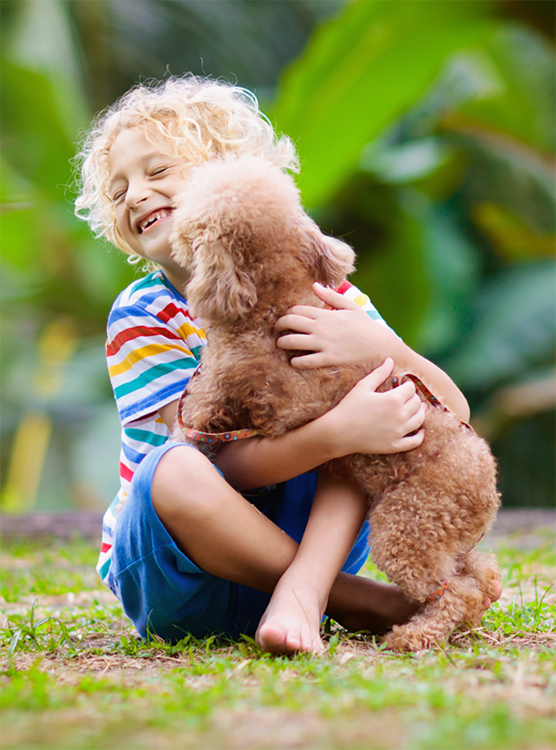 camping acceptant les animeaux bearn