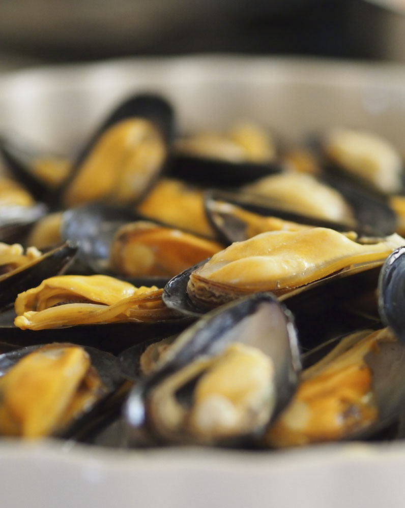 camping bearn avec repas a themes