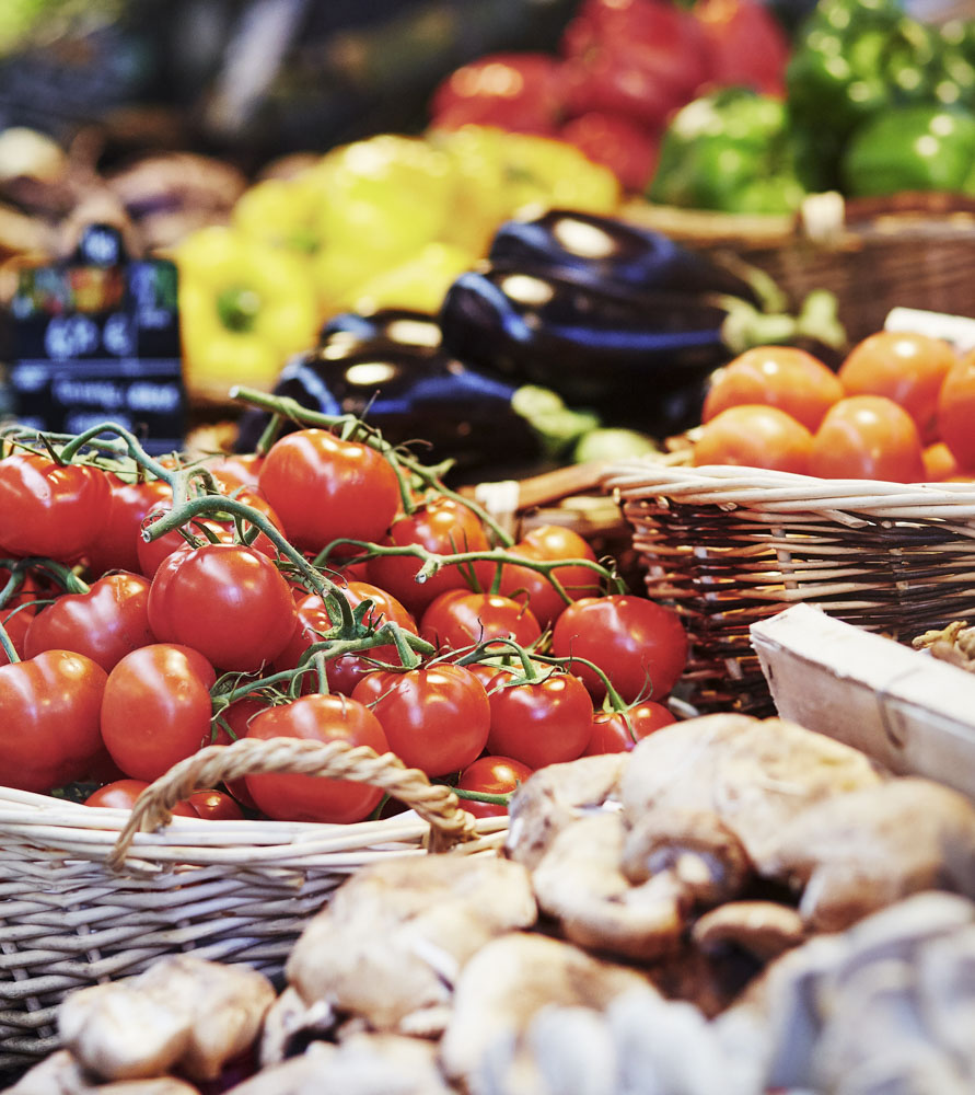 camping proche des marches bearn