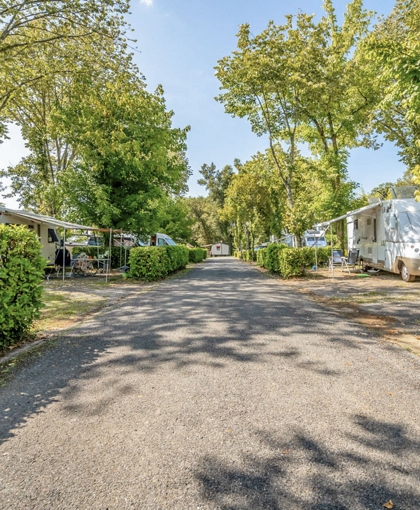 camping proche des thermes salies de bearn